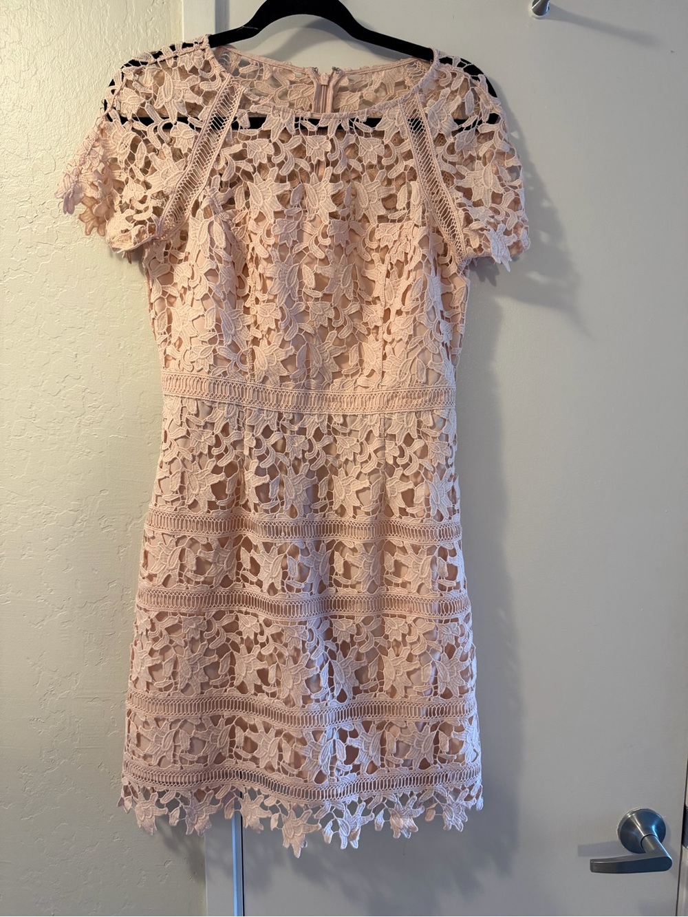 Eliza J Blush Lace Mini Dress